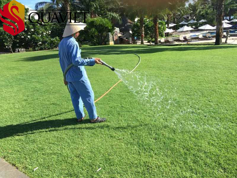 Kỹ thuật chăm sóc cỏ cho sân golf
