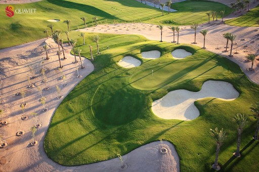 Hình ảnh sân Golf sa mạc 
