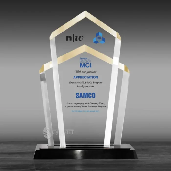 Kỷ niệm chương tri ân acrylic đại diện cho sự sáng tạo và linh hoạt hiện đại